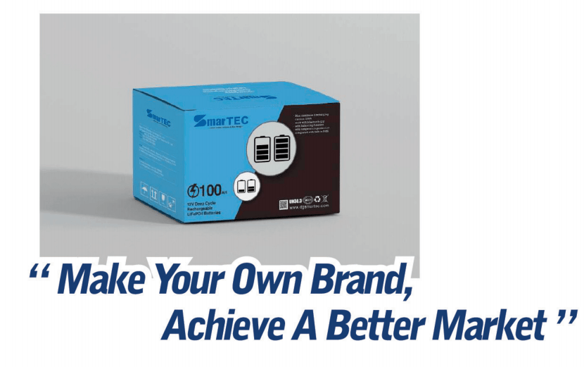Customized LiFepo4 Batteries
